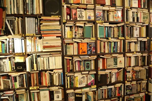 Books in the Library