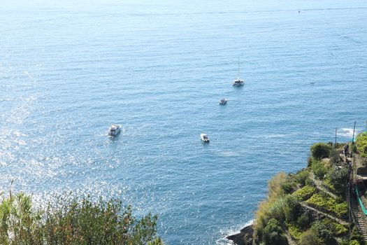 Tourist boat Europe