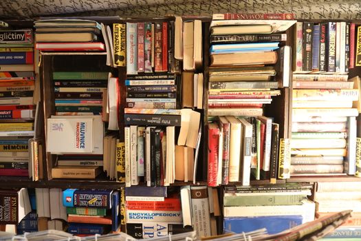 Books in the Library