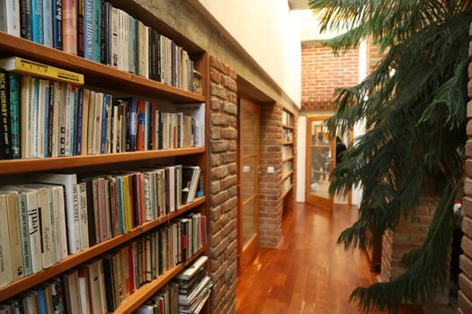 Books in the Library
