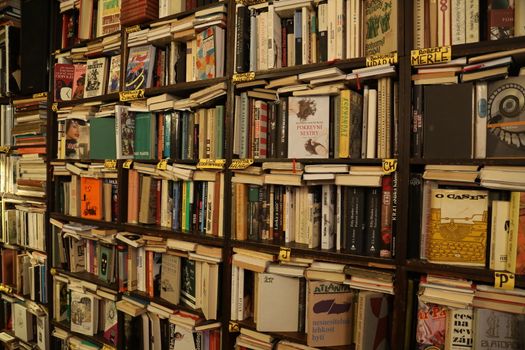 Books in the Library