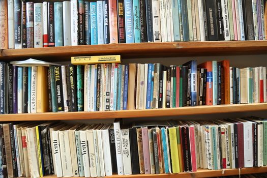 Books in the Library