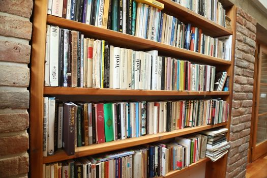Books in the Library