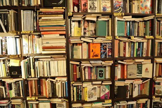 Books in the Library