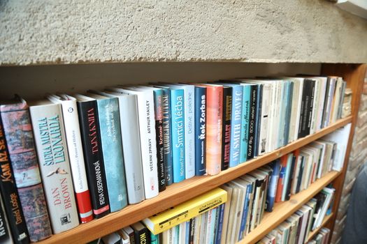 Books in the Library