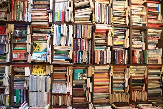 Books in the Library