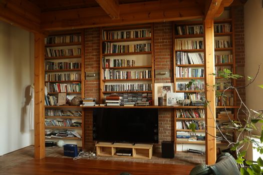 Books in the Library