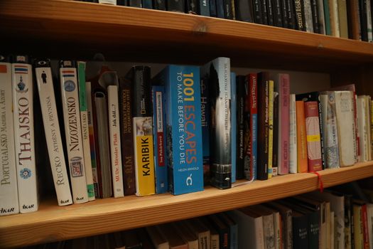 Books in the Library