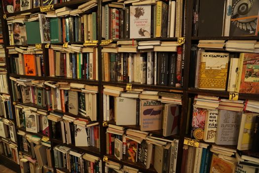 Books in the Library