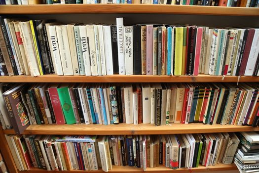 Books in the Library