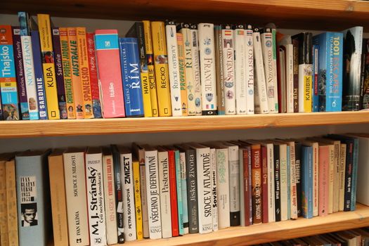 Books in the Library