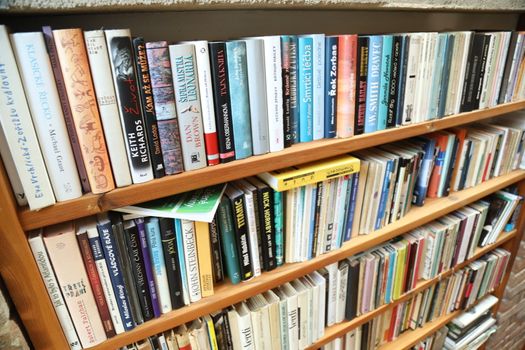 Books in the Library