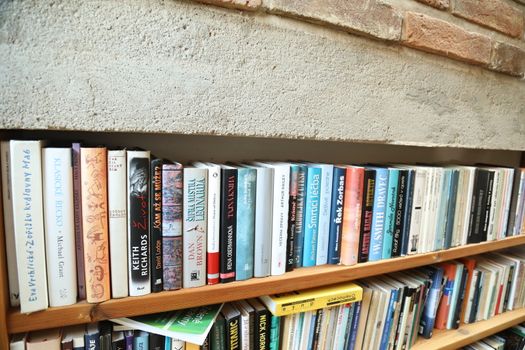 Books in the Library