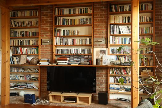Books in the Library