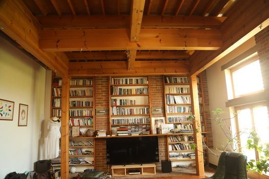 Books in the Library