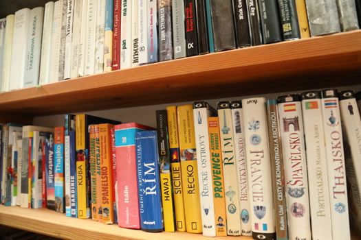 Books in the Library