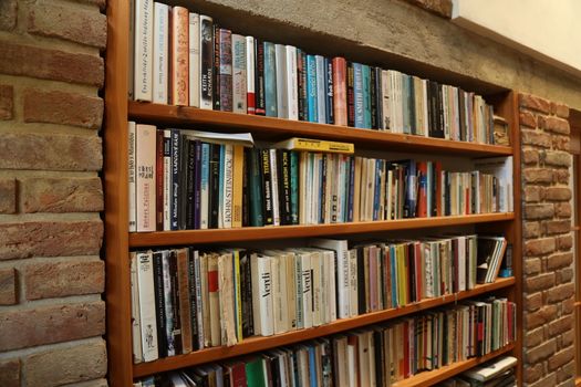 Books in the Library