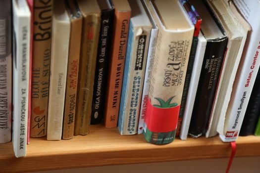 Books in the Library