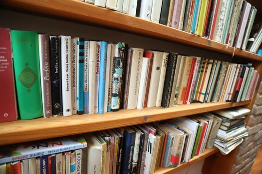 Books in the Library