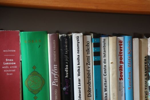 Books in the Library