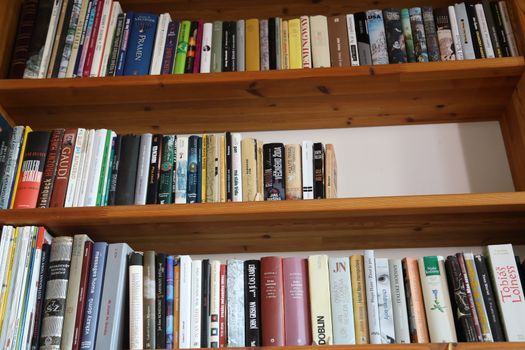 Books in the Library