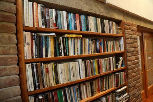 Books in the Library