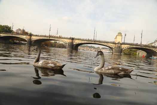 Tourist place in Prague Europe