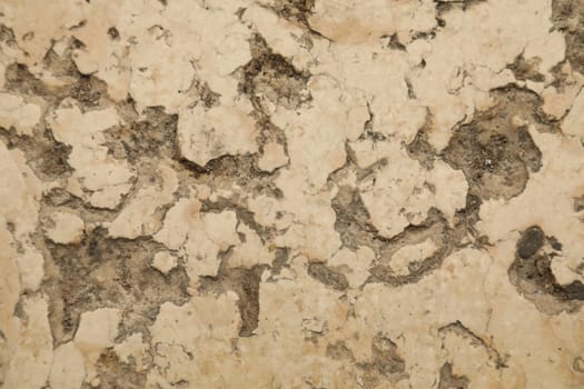 vintage wall Texture