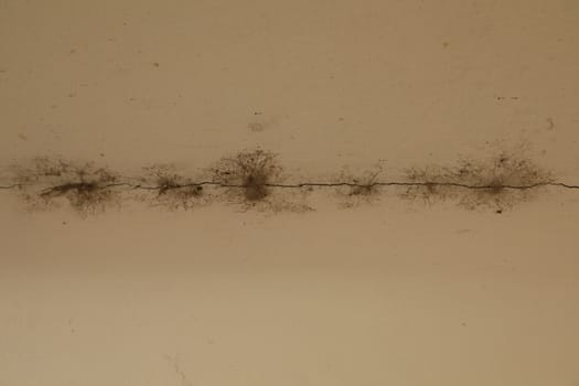 vintage wall Texture