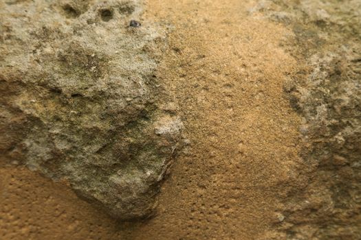 vintage wall Texture