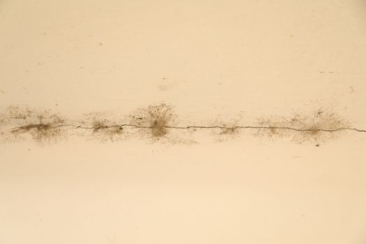 old stone wall Texture
