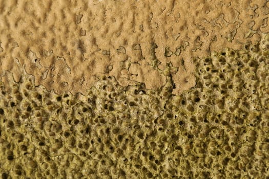 old stone wall Texture