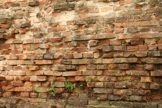 old stone wall Texture