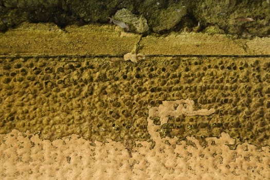 old stone wall Texture