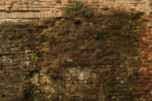 old stone wall Texture