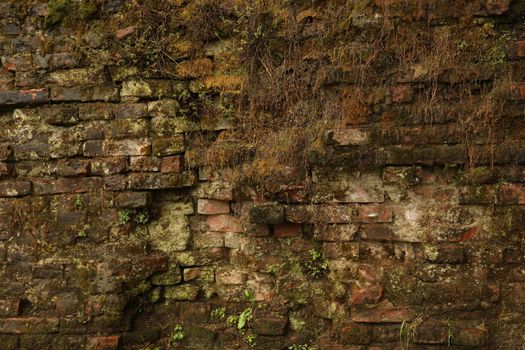 Vintage wall Texture