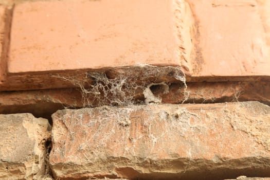 Vintage wall Texture