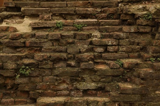 old stone wall Texture