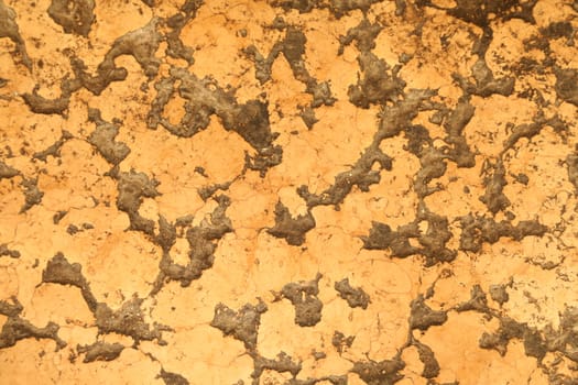 close up of old wall Texture