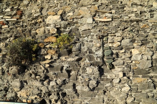 close up of old wall Texture
