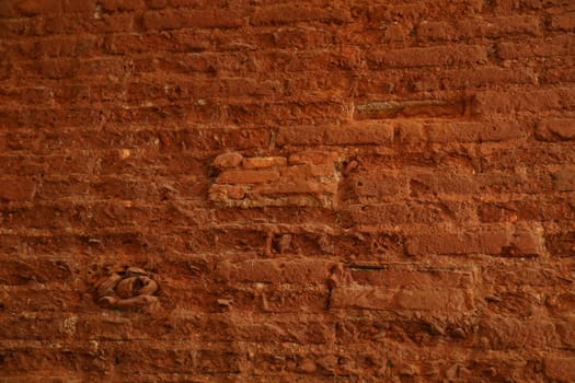 close up of old wall Texture