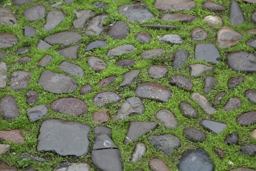 close up of old wall Texture