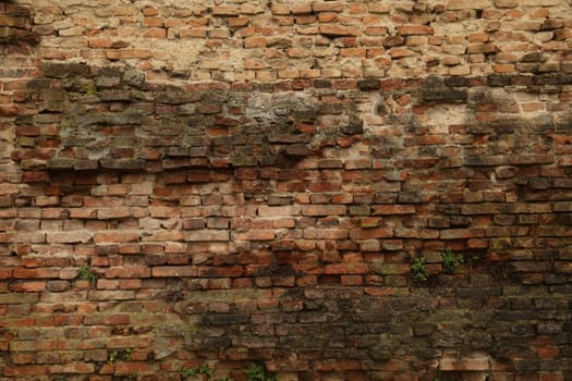 close up of old wall Texture