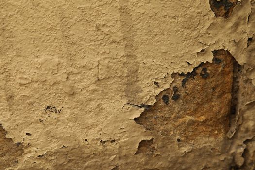 close up of old wall Texture