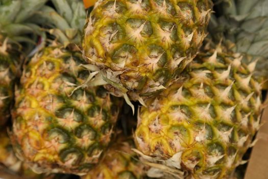 closeup shot of Fruits