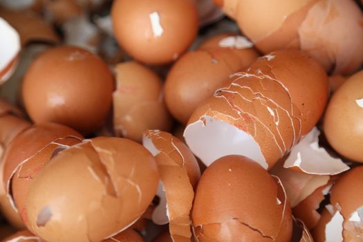 Egg shells closeup