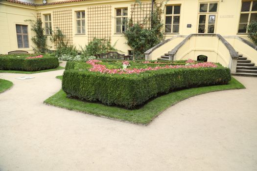 Trees in Switzerland