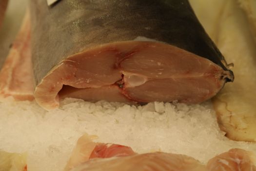 Fish Counter in a Market