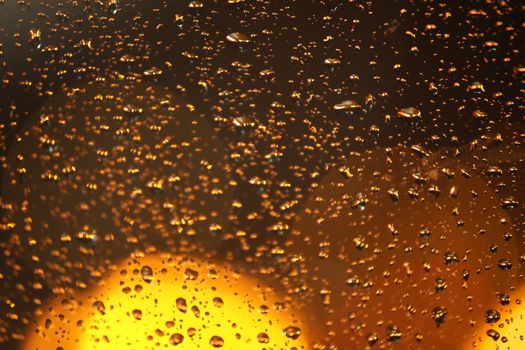 Rain Drops on a Glass