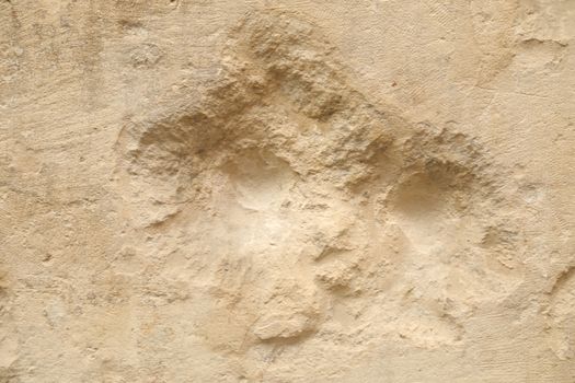 Raw stone Texture